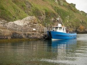 skomer island ferry