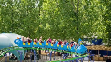 camel creek adventure park photos