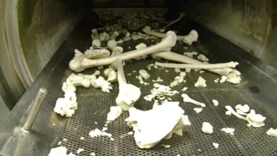 which part of the body does not burn during cremation