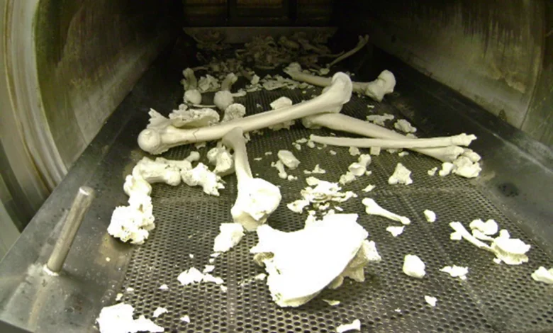 which part of the body does not burn during cremation