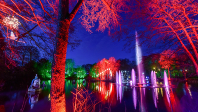 stockeld park discount code