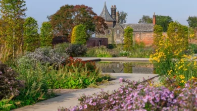 rhs garden bridgewater reviews