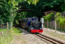 bure valley railway timetable