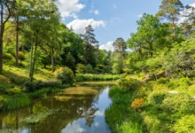 leonardslee lakes and gardens