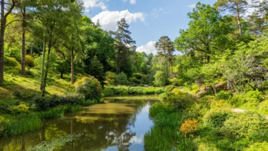 leonardslee lakes and gardens