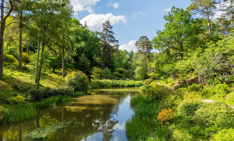leonardslee lakes and gardens