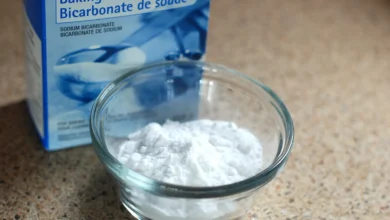 Is bicarbonate of soda the same as baking soda