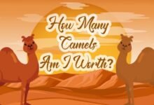 How Many Camels Am I Worth