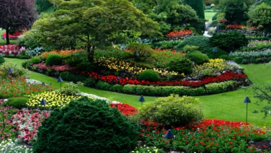 Low Maintenance Front Yard Landscaping