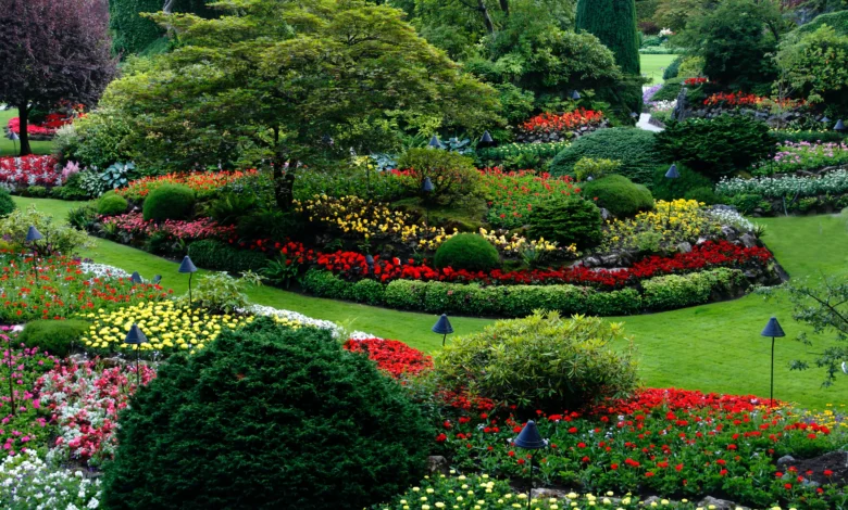 Low Maintenance Front Yard Landscaping