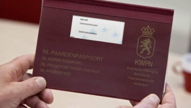 horse passport number