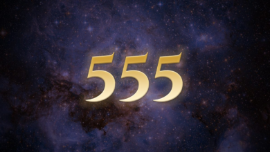 Numerology of 555