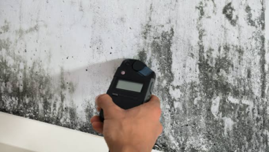 How Does a Professional Mold Inspection Work?