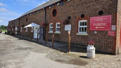 Dunham Massey Ice Cream Farm