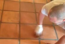 How to Clean Terracotta Tiles