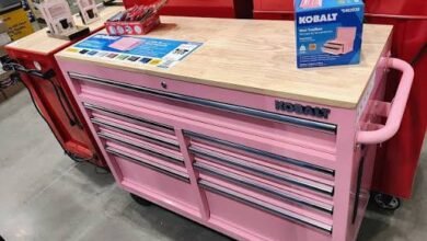 Pink Tool Box on Wheels