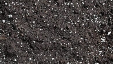 pvp industries coarse horticultural perlite