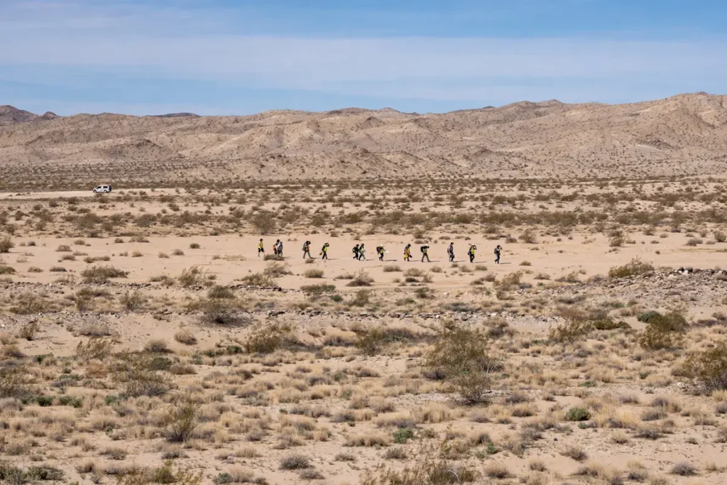 Search volunteers walking in a line across desert terrain